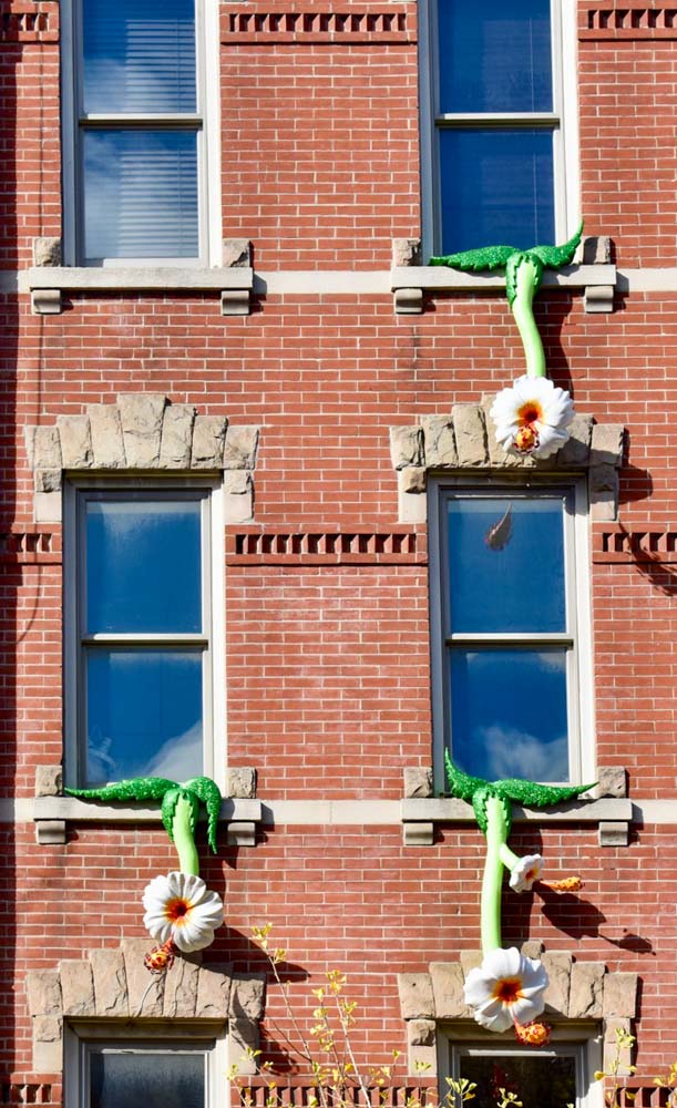 drips-exterior--flowers-of-love - DSC_0007